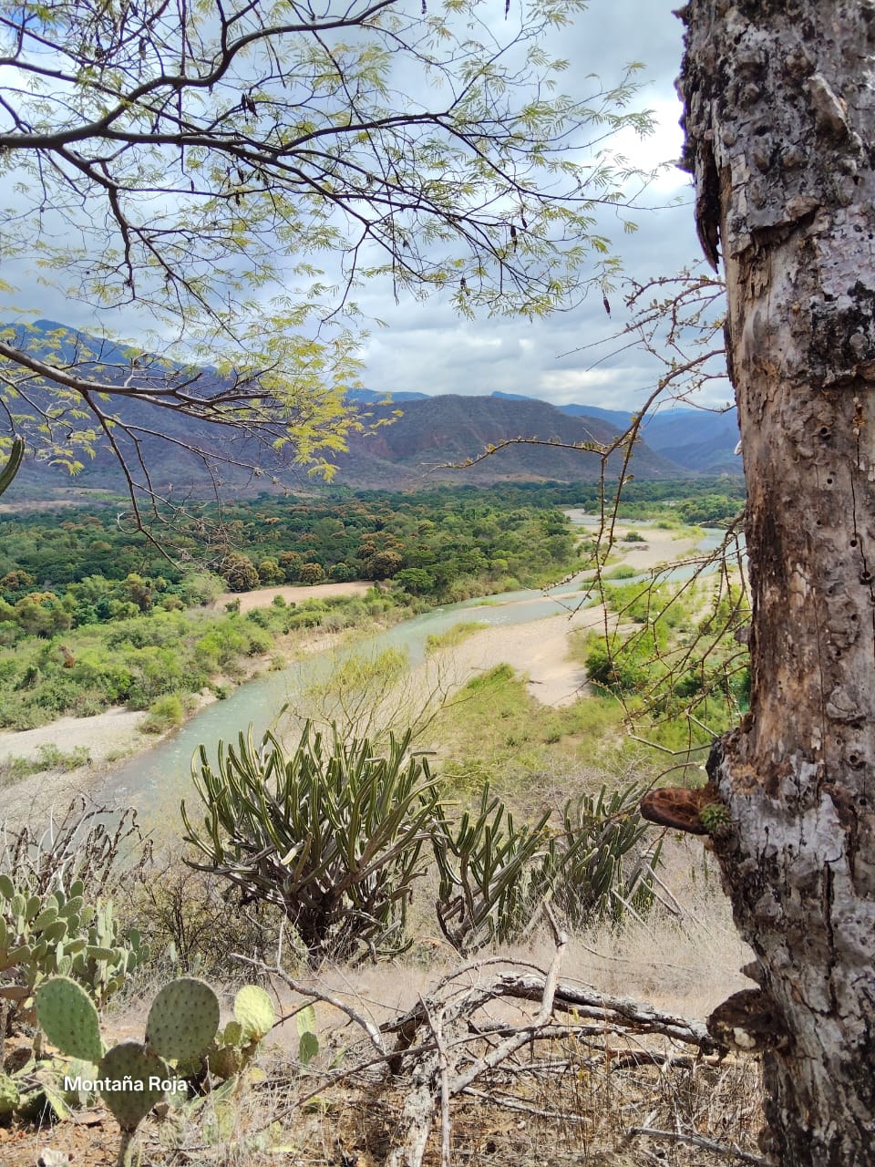 Sendero 1